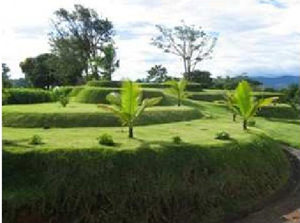 The hilltop is partly shaped into an attractive maze of small terraces which will serve as one of the common areas, the highest with a communal rancho.